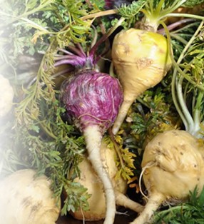 リラクルのタフdeナイト