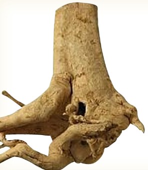 リラクルのタフdeナイト