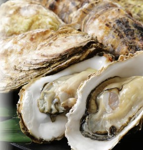 リラクルのタフdeナイト